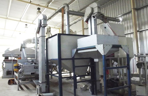 Processing and Packaging