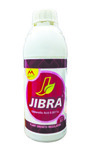 Jibra